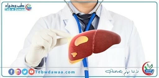 الكبد الدهني 002