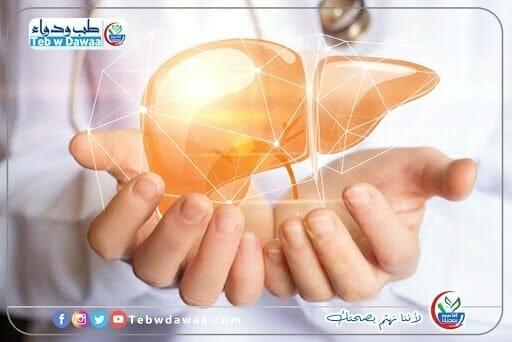 الكبد الدهني 003