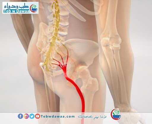 الم الظهر 002